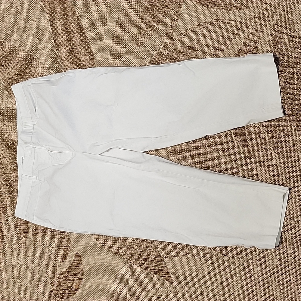 Talbots Perfect Skimmer - 12